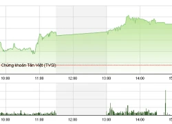 Phiên giao dịch chiều 8/10: Bùng nổ