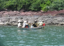 Quảng Ninh: Mò ốc biển thu tiền triệu, đổi mạng sống