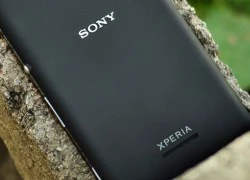 Sony quyết tâm bám trụ thị trường smartphone