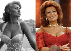 Sophia Loren - biểu tượng sắc đẹp ngày ấy và bây giờ