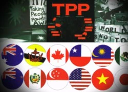 TPP không chỉ toàn màu hồng!