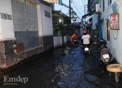 Triều cường đạt đỉnh ở Tp.HCM, người dân bì bõm lội nước