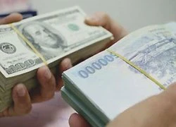 Tỷ giá USD ngày 01/10/2015