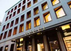 5 sự thật ít người biết về thương hiệu Gucci