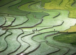 Ảnh của cô gái Việt vào chung kết National Geographic