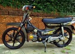 Biker Việt độ "siêu giấc mơ" thành xế kiểng cực chất