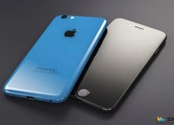 Các chuyên gia xác nhận iPhone 4 inch ra mắt năm sau