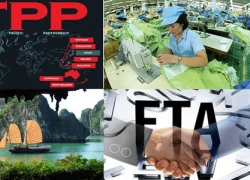 Các doanh nghiệp bao cấp có thể 'chết' khi vào TPP