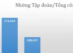 Các &#8216;ông lớn&#8217; nhà nước đang vay nợ ngân hàng bao tiền?