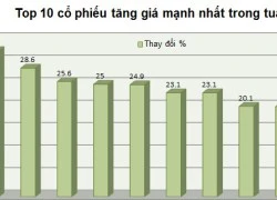 [Chart] Tuần đầu tháng 11: Cổ phiếu khoáng sản tăng mạnh, cổ phiếu ô tô giảm mạnh