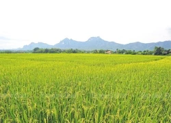 Cố đô Lampang - 'ngôi sao mới' của du lịch Thái Lan