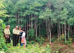 ĐB Bùi Thị An: &#8220;Không để kẻ nào phá tài nguyên của chúng ta&#8221;