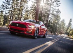 Động cơ EcoBoost mới của Ford "nhỏ nhưng có võ"