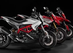 Ducati Hypermotard & Hyperstrada 939: "Bình cũ rượu mới"