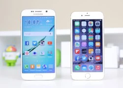 Giá iPhone 6, Galaxy S6 qua sử dụng về mức 8 triệu đồng