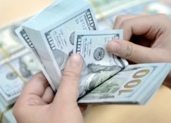 Giá USD/VND hôm nay 6/11: Đồng loạt tăng giá