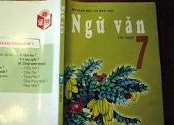 Giáo viên nói gì về bản dịch mới 'Sông núi nước Nam'?