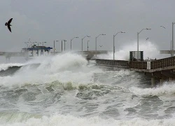 Hiện tượng El Nino gây ảnh hưởng tiêu cực tại Thái Bình Dương