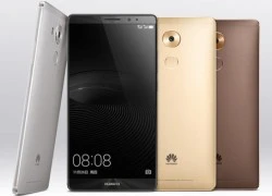 Huawei giới thiệu phablet màn hình 6 inch, giá từ 469 USD