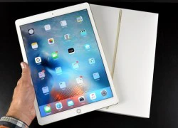 iPad Pro chính hãng giá từ 20 triệu, bán ở VN đầu tháng 12