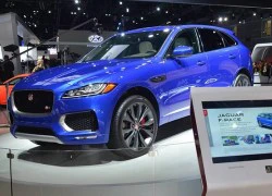 Jaguar chính thức ra mắt F-Pace, giá từ hơn 800 triệu đồng