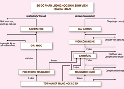 Không thể chậm trễ phân luồng sau trung học cơ sở