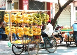 Kinh hoàng 'tẩm' thuốc độc cho chuối