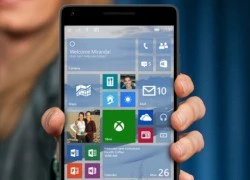 Lịch cập nhật Windows 10 Mobile cho Lumia đời cũ