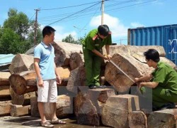 Mất xe tang vật vụ hàng chục mét khối gỗ lậu "lọt" qua biên giới