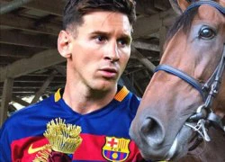 Messi nguy cơ thua cuộc trước một chú ngựa đua