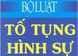 Một số ý kiến về quyền của người bị bắt, bị tạm giữ, bị can, bị cáo trong tố tụng hình sự