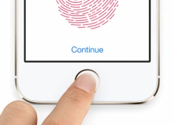 Người dùng tố iOS 9.1 làm hỏng Touch ID