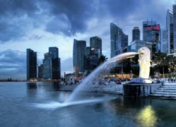 Nhà giàu mua vé, đặt phòng sang Singapore để tiêm chủng cho con