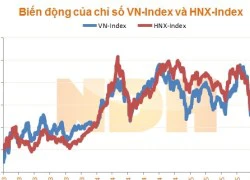 Nhận định thị trường ngày 11/11: "Tiếp tục giảm điểm"