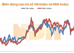 Nhận định thị trường ngày 16/11: "Tăng điểm"