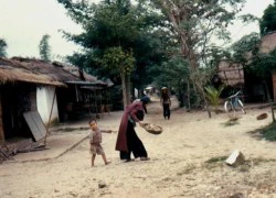 Nông thôn miền Nam trước 1975 trong ảnh của lính Mỹ