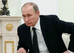 Putin: Mỹ biết đường bay của Su-24 bị bắn hạ