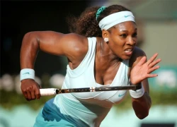 Serena Williams trổ tài bắt cướp