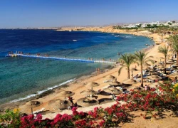 Sharm el Sheikh - viên ngọc vỡ sau thảm họa rơi máy bay Nga