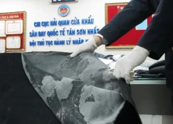 Sinh viên người Nga mang gần 6,5kg cocaine vào Việt Nam