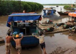 Tổ tàu thuyền đoàn kết, bám biển