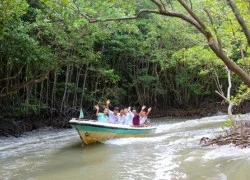 TP.HCM đầu tư buýt đường sông