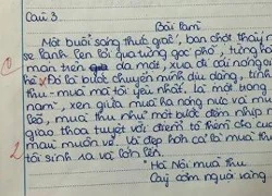 Tranh cãi mở đầu đoạn văn bị 0 điểm