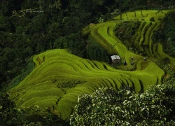 Vẻ đẹp giản dị của Việt Nam lên báo Anh