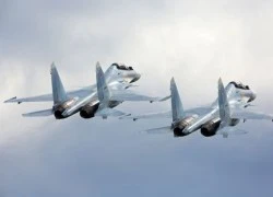 Venezuela chi gần nửa tỉ đô mua Su-30 của Nga