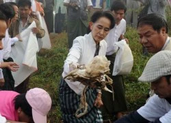 Bà Suu Kyi xuống đường nhặt rác