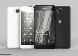 Bản dựng smartphone giá rẻ Lumia 650