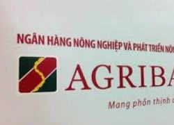 Bảo đảm giao dịch bình thường tại chi nhánh Agribank Biên Hòa