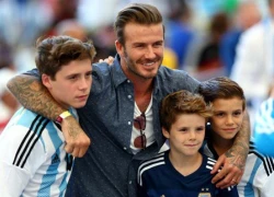 Beckham suy sụp khi các con trai tuyên bố từ bỏ bóng đá