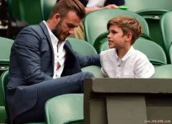 Beckham tổn thương vì con trai bỏ nghiệp bóng đá